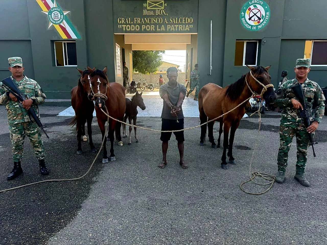 Ejército recupera animales robados localizados con drones durante operativo en Dajabón