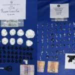 Golpe al narcotráfico: ejecutan 55 allanamientos, ocupan más de 173 mil gramos y arrestan 974 personas