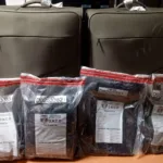 Impiden extranjera viaje con presunta cocaína oculta en doble fondo de equipaje