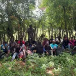 Interceptan grupo de haitianos indocumentados en zona boscosa de Guayubín