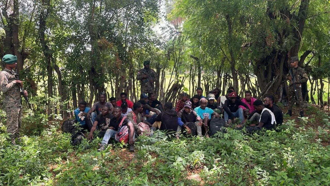 Interceptan grupo de haitianos indocumentados en zona boscosa de Guayubín