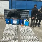 DNCD y MP decomisan más de 400 plantas de marihuana en Santo Domingo Oeste