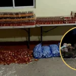 Ejército incauta contrabando transportado en mulos en zona fronteriza de Elías Piña