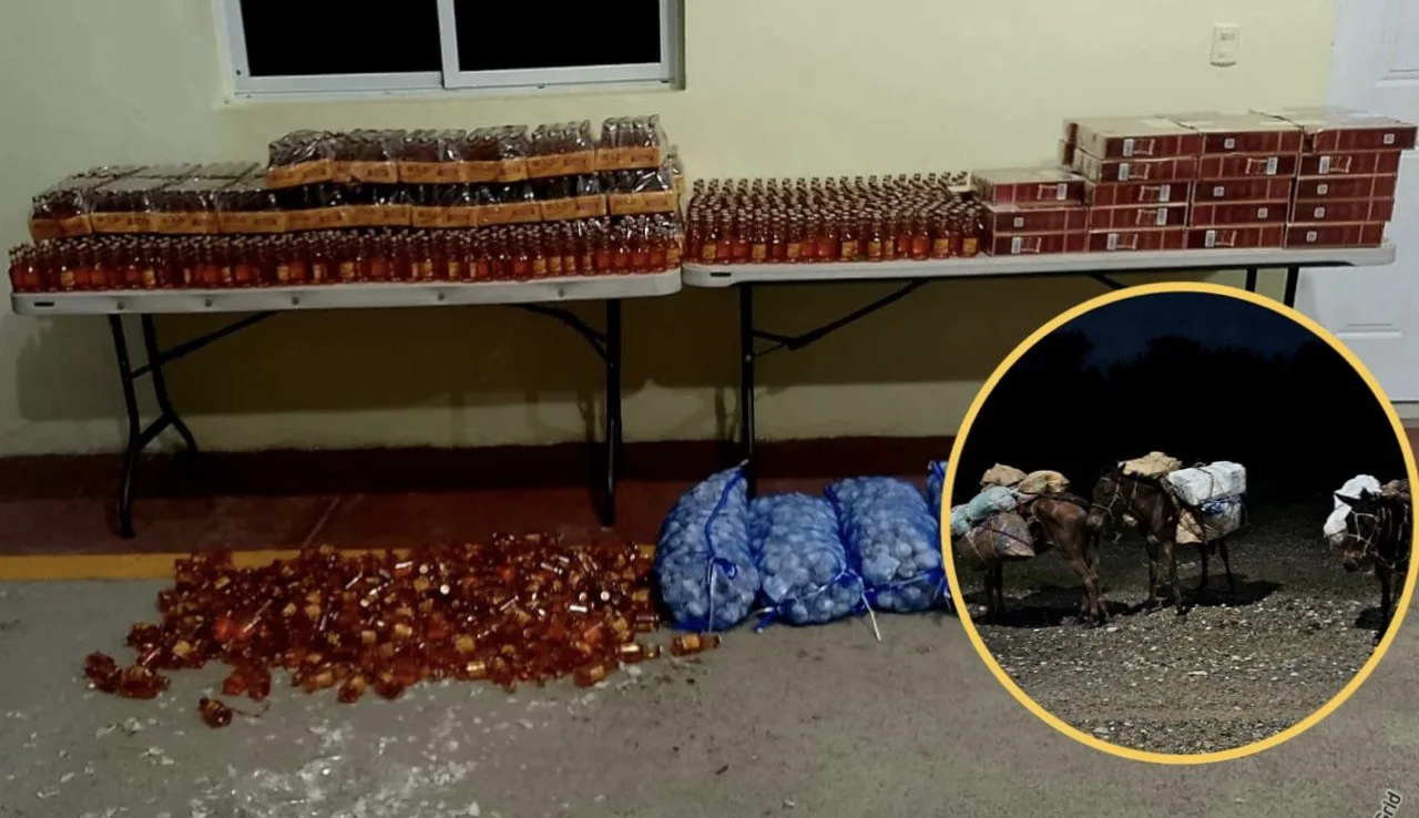 Ejército incauta contrabando transportado en mulos en zona fronteriza de Elías Piña