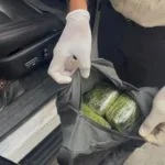 Operativos en Nagua, Río San Juan y Samaná dejan más de 3,000 gramos de drogas ocupados y varios detenidos