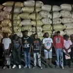 Ejército descubre a 10 haitianos indocumentados ocultos en una carga de arroz en camión interceptado en Montecristi