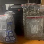 DNCD interviene maleta con 28 libras de marihuana en el AILA