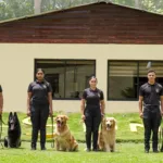 UNIDADES CANINAS: Olfato al servicio de la seguridad del país