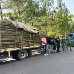 Soldados del Ejército incautan cargamento de madera sin documentación legal en Santiago
