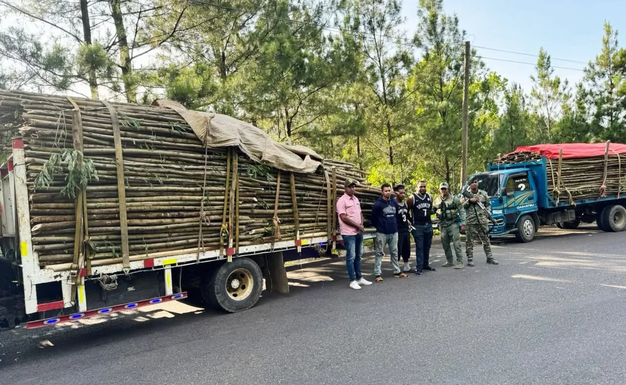 Soldados del Ejército incautan cargamento de madera sin documentación legal en Santiago