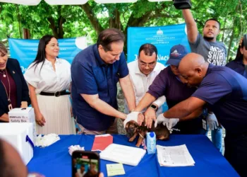 Ministerio de Salud realizará jornada de vacunación para perros y gatos este viernes 21 en Ciudad Juan Bosch