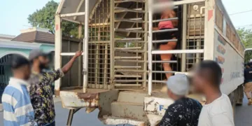 Santo Domingo, Dajabón y Pedernales concentraron la mayor cantidad de interdicciones realizadas por la DGM