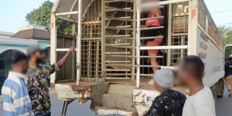 Santo Domingo, Dajabón y Pedernales concentraron la mayor cantidad de interdicciones realizadas por la DGM