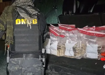 Atrapan en Caucedo 321 paquetes de presunta cocaína ocultos en el piso de un contenedor