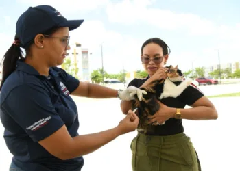 Ministerio de Salud vacuna más de cien perros y gatos durante jornada antirrábica en Ciudad Juan Bosch