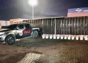 DNCD incauta 303 paquetes de presunta cocaína ocultos en contenedor en Puerto Caucedo