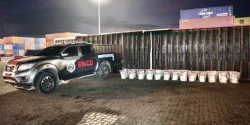 DNCD incauta 303 paquetes de presunta cocaína ocultos en contenedor en Puerto Caucedo
