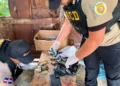 DNCD y Ministerio Público intensifican ofensiva contra el microtráfico en SDE: arrestan 44 personas y ocupan más de 13,000 gramos de drogas