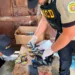 DNCD y Ministerio Público intensifican ofensiva contra el microtráfico en SDE: arrestan 44 personas y ocupan más de 13,000 gramos de drogas