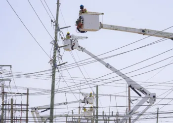 ETED avanza en la optimización de líneas de 69 kV mediante trabajos de renovación y mantenimiento