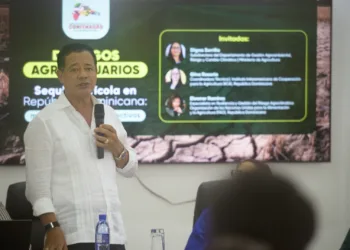 CONFENAGRO llama a garantizar la protección de producción de arroz en el país