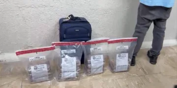 DNCD inteviene en Punta Cana canadiense con 14 paquetes de presunta cocaína
