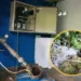 Propeep recupera sistema de bombeo de agua y beneficia a más de 200 familias en comunidades de Cambita Garabitos