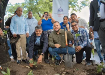 FEDA en conjunto con la Alcaldía inician programa de arborizaión en Santo Domingo Oeste