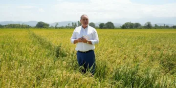 Video confirma postura del ministro de Agricultura sobre polémica por supuesta dispensa al sector arrocero