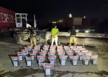 Autoridades ocupan 228 paquetes de cocaína en operaciones simultáneas en Santo Domingo y Punta Cana