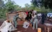 SENPA y autoridades desmantelan 15 casuchas y detienen a 23 haitianos en Sierra de Bahoruco