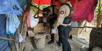 Operativos en Santiago dejan más de 15,000 gramos de drogas incautados y 59 detenidos