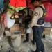 Operativos en Santiago dejan más de 15,000 gramos de drogas incautados y 59 detenidos