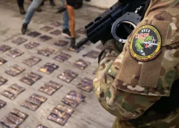 DNCD ocupa 172 láminas de presunta cocaína camufladas en cajas de cartón
