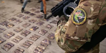 DNCD ocupa 172 láminas de presunta cocaína camufladas en cajas de cartón