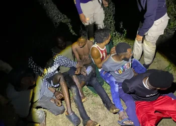 En operativos de esta semana detienen 339 haitianos indocumentados en La Vega