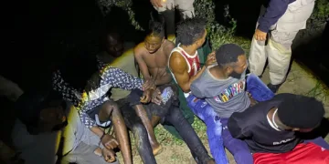 En operativos de esta semana detienen 339 haitianos indocumentados en La Vega