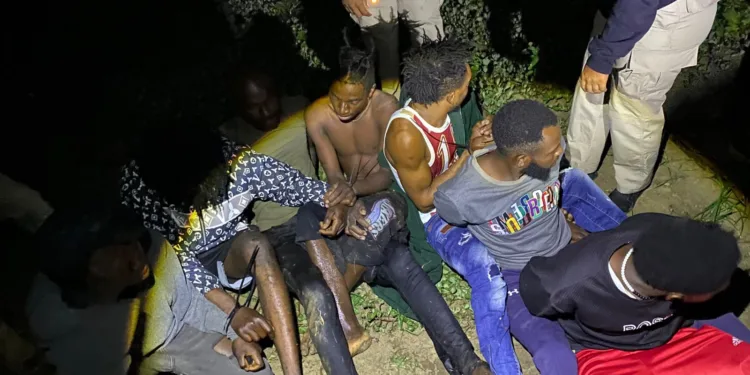 En operativos de esta semana detienen 339 haitianos indocumentados en La Vega